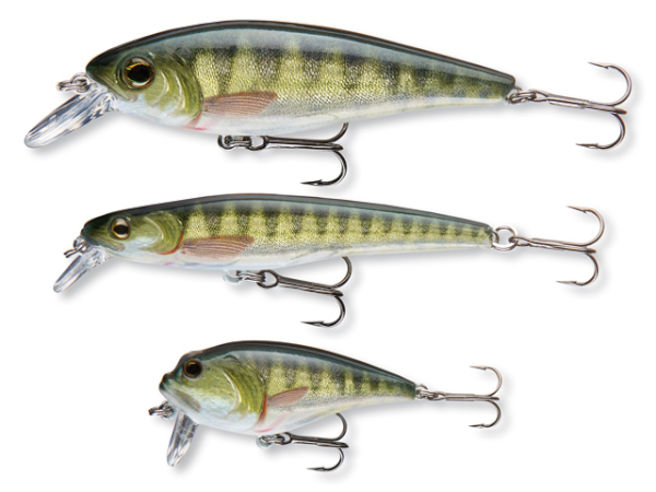 Cormoran Wobbler set - Cormoran Wobbler Set Perch