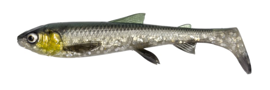 Savage Gear 3D Whitefish Shad 17.5cm (42g) (2 sztuki) - Green Silver
