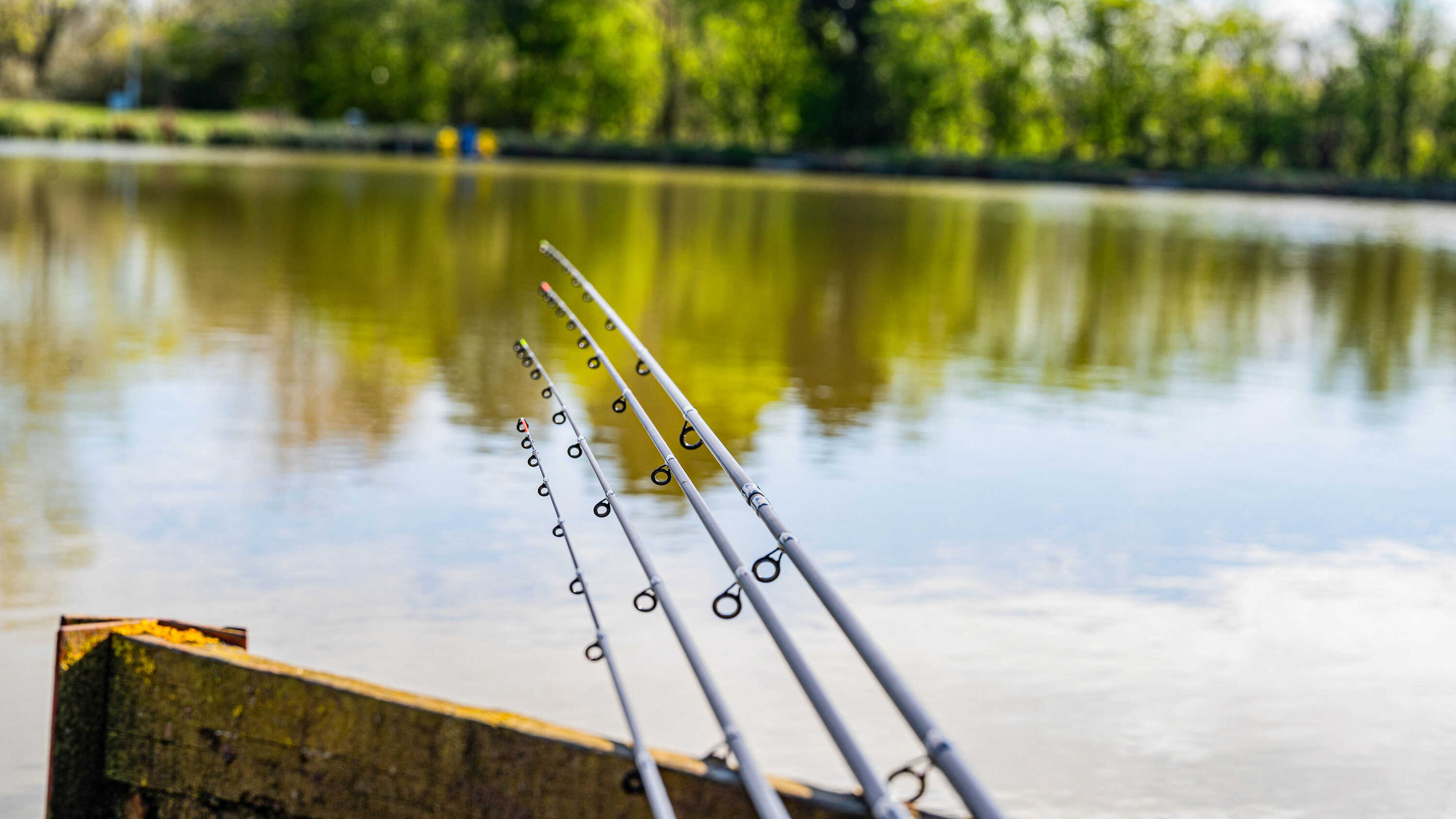 Wędka Preston Dura Carp Feeder