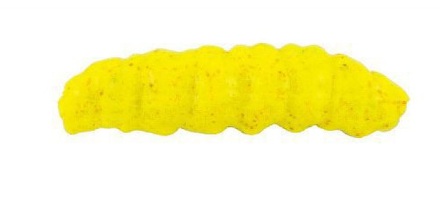 Berkley Gulp! Honey Worm 33mm (18 sztuk)