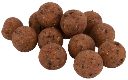 Premium Readymade The Nutz Boilies 15 lub 20mm