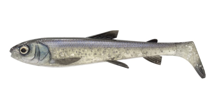 Savage Gear 3D Whitefish Shad 27cm (152g) - Whitefish