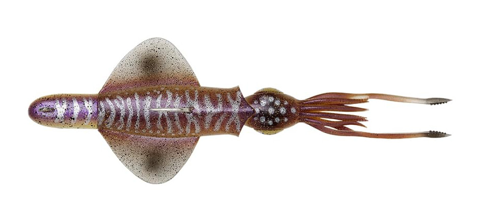 Przynęta Morska Savage Gear Swim Squid Rtf 18cm (90g) - Cuttlefish