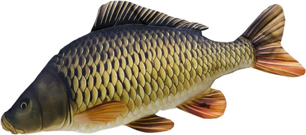 Gaby The Common Carp