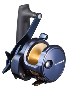 Daiwa 24 Saltiga 15L Zeevis Reel RH