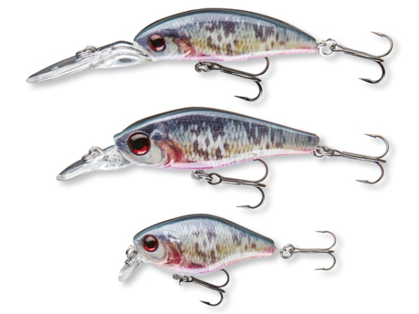 Cormoran Wobbler set - Cormoran Wobbler Set Dying Roach