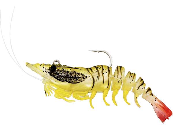 Westin Salty the Shrimp Jig (kilka opcji) - Pearl Shrimp