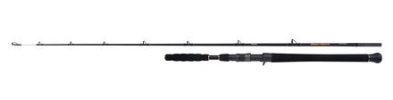 Wędka Castingowa Shimano Beastmaster Catfish Vertical 1.85m (-200g)