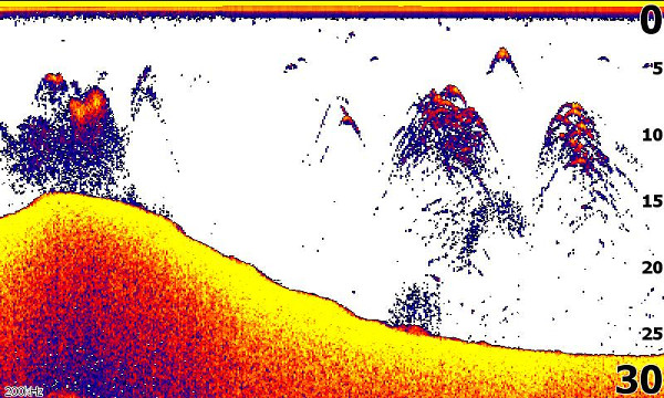 Lowrance Hook² 5 TripleShot met High CHIRP, SideScan en DownScan