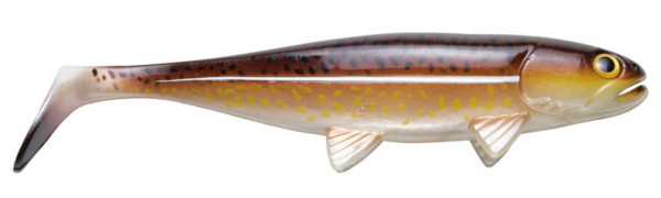 Jackson The Sea Fish, 23 of 30cm! - Cod