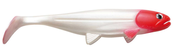 Jackson The Sea Fish, 23 of 30cm! - Redhead
